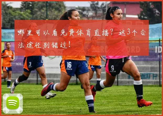 哪里可以看免费体育直播?这3个合法途径别错过!